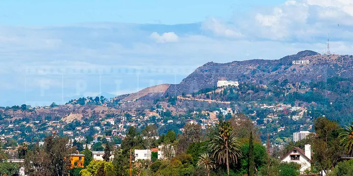 View from Elysian park at Hollywood Hills