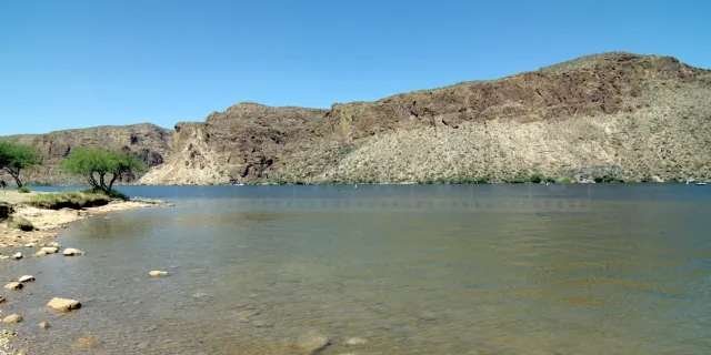 Shore of the Salt River Reservoir with mesquite trees