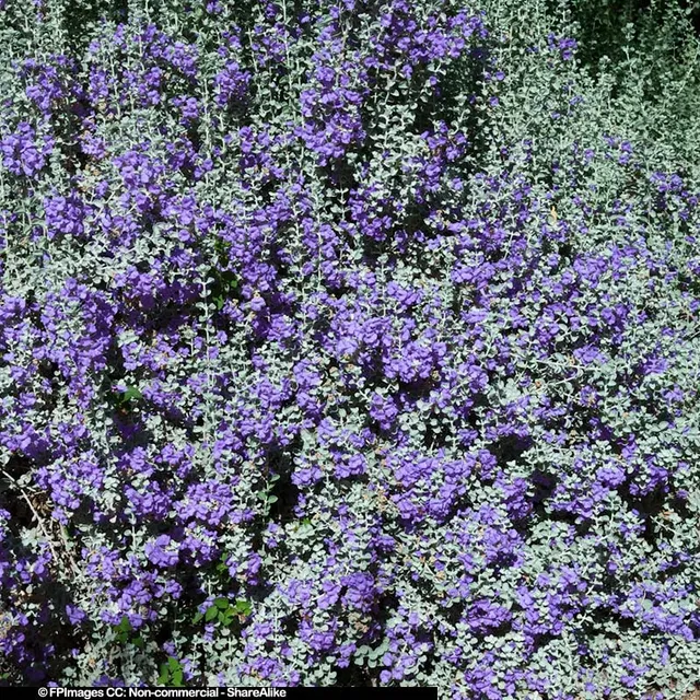 FPImages scenic photo galleries