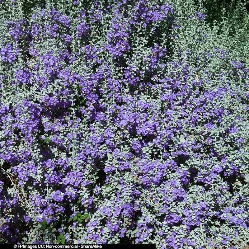 FPImages scenic photo galleries