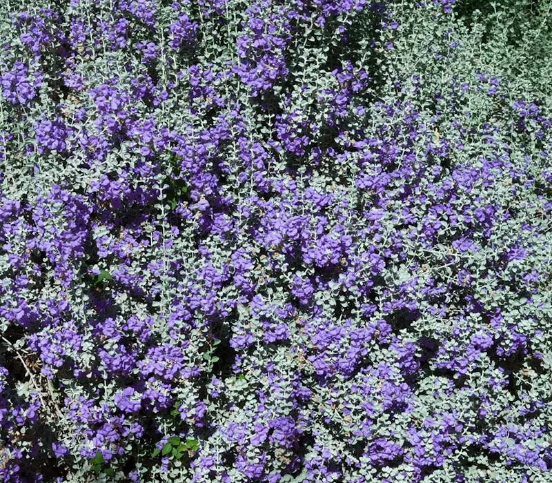 FPImages scenic photo galleries