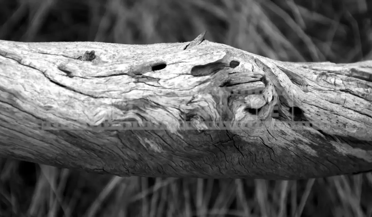 FPImages scenic photo galleries