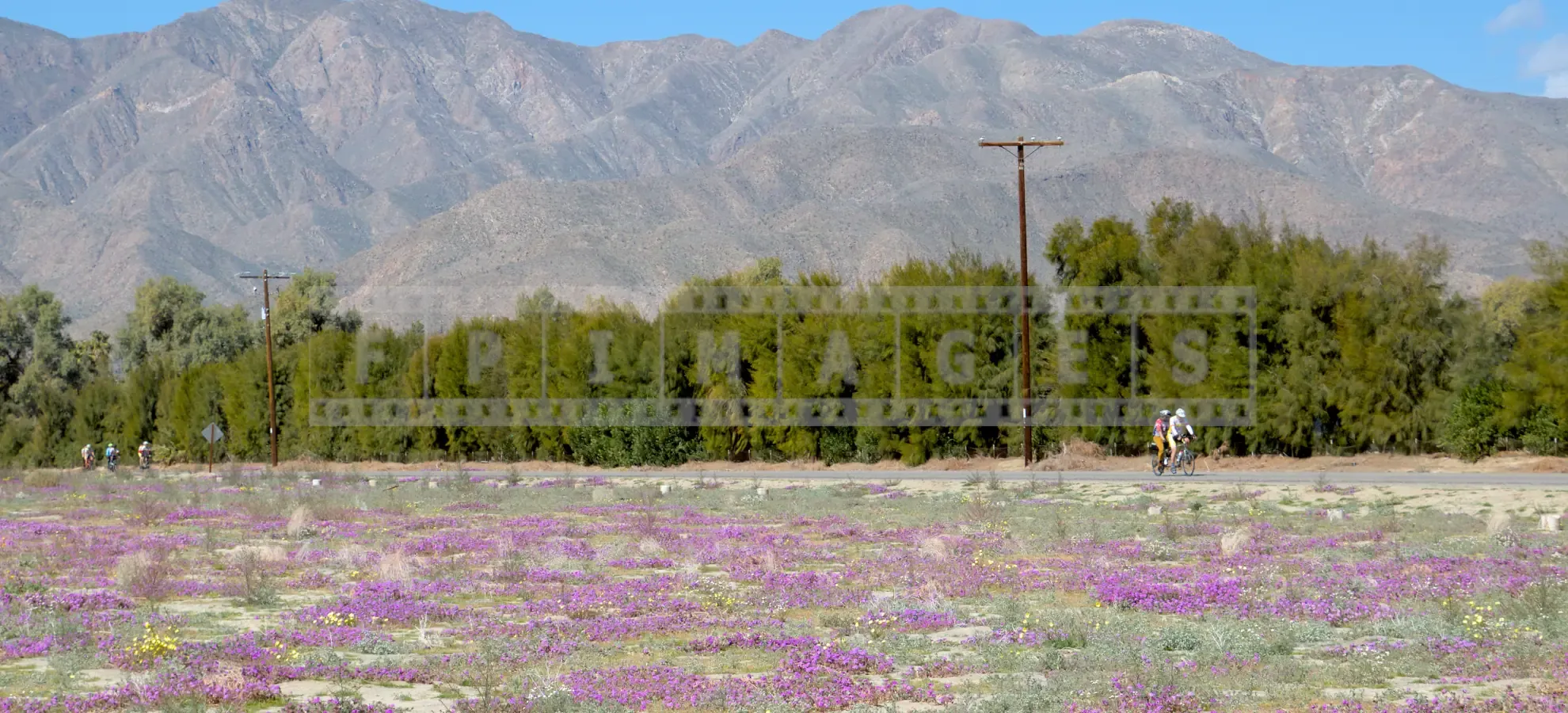 FPImages scenic photo galleries