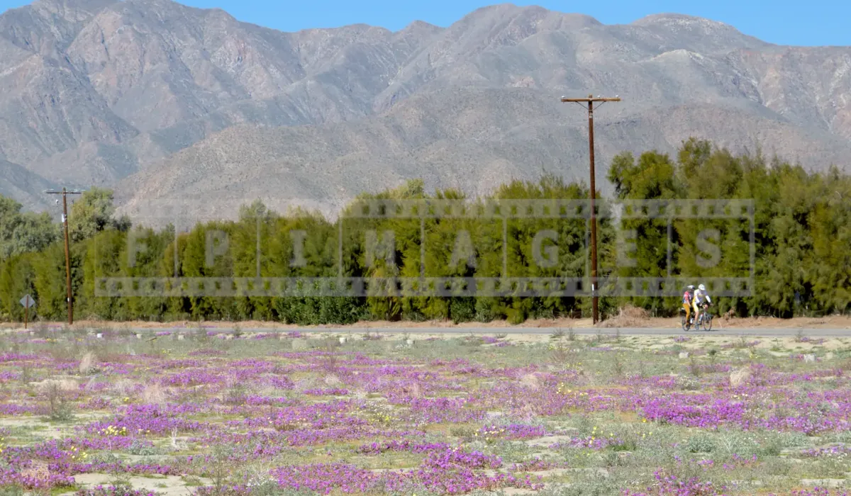 FPImages scenic photo galleries