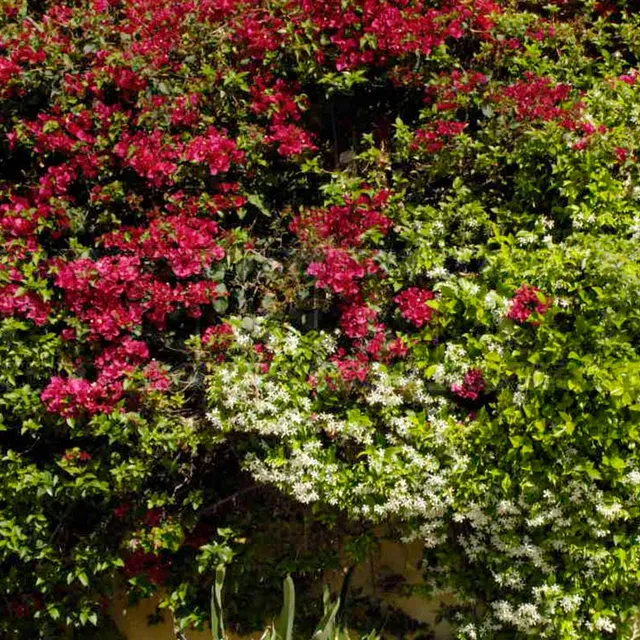 entrance sign of Archdiocese of Los Angeles