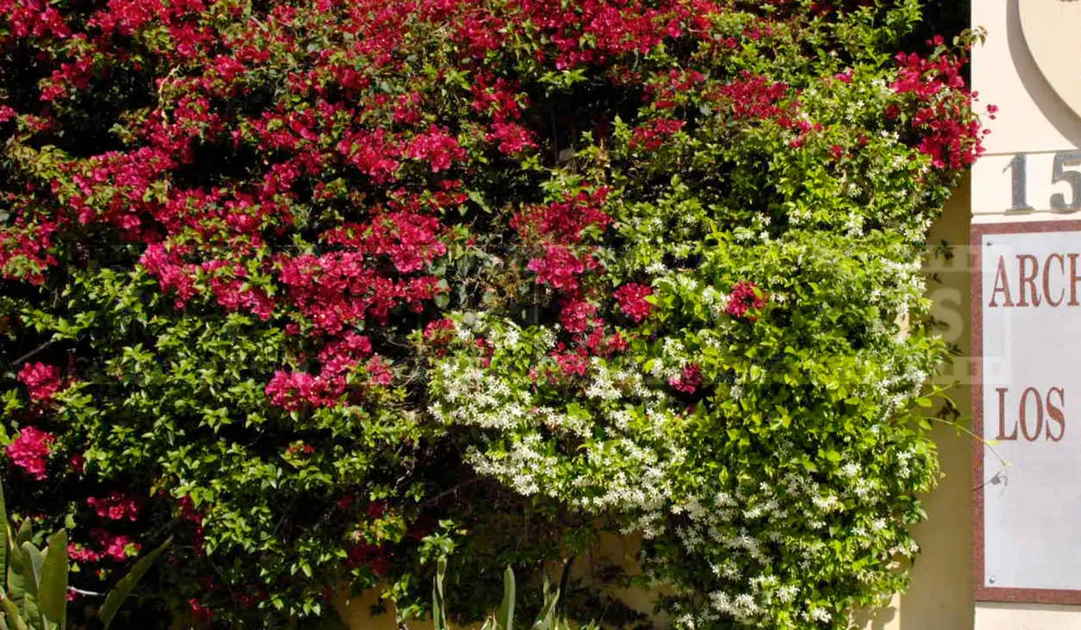 FPImages scenic photo galleries