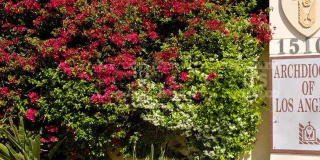 entrance sign of Archdiocese of Los Angeles