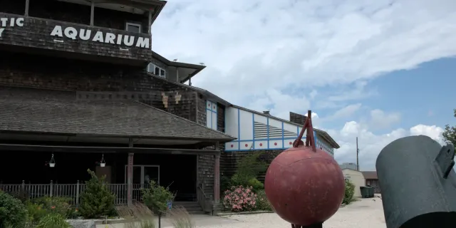 Main entrance to the Atlantic City Aquarium