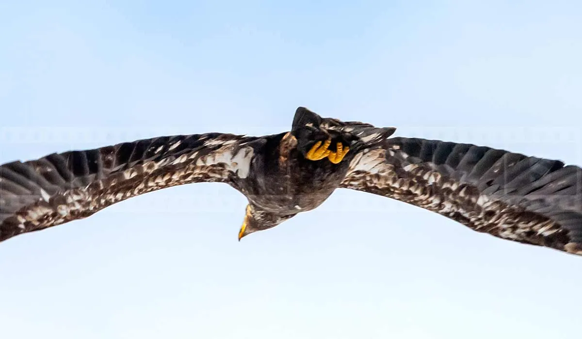 FPImages scenic photo galleries