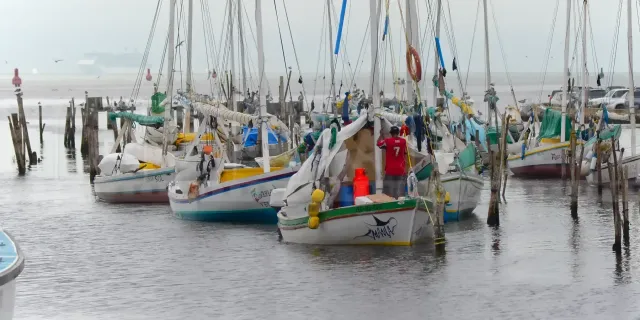 Cruise ship at anchor outside of Belize City port