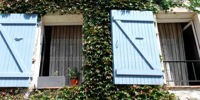 French style windows with blue shutters and green vine