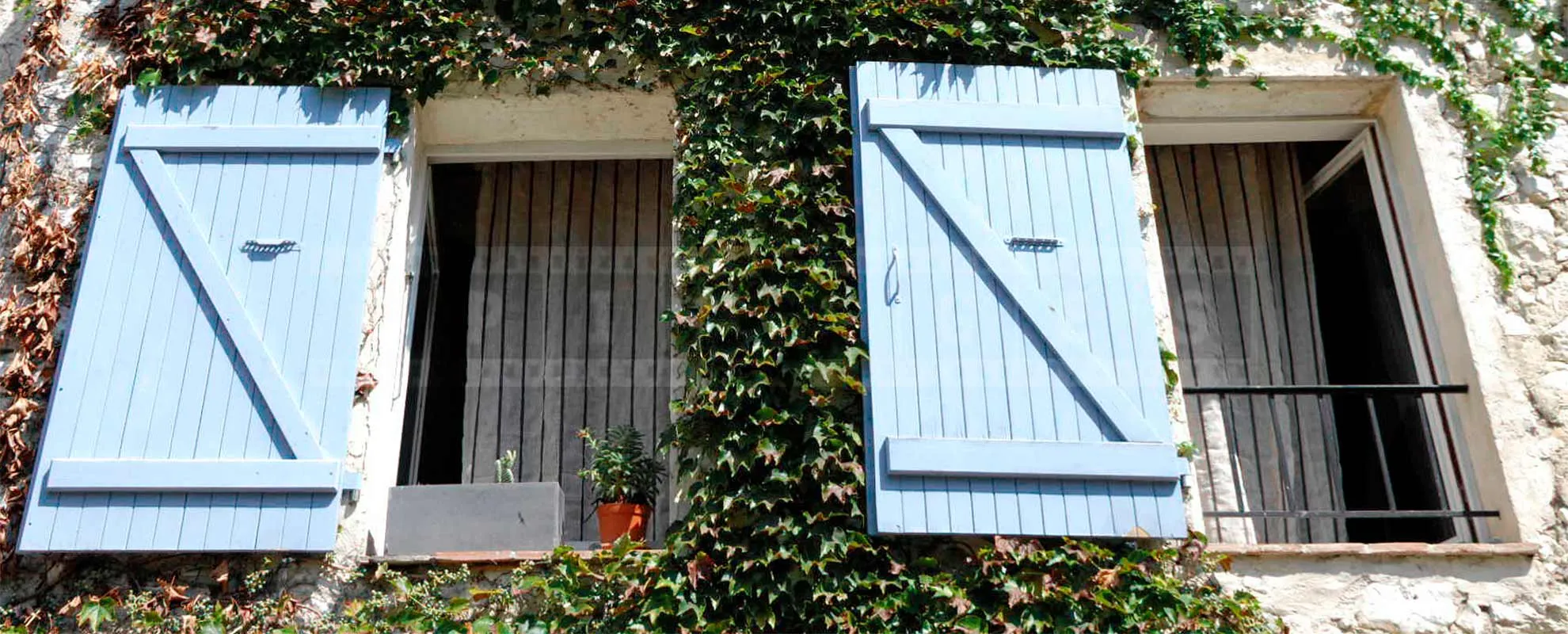 French style windows with blue shutters and green vine
