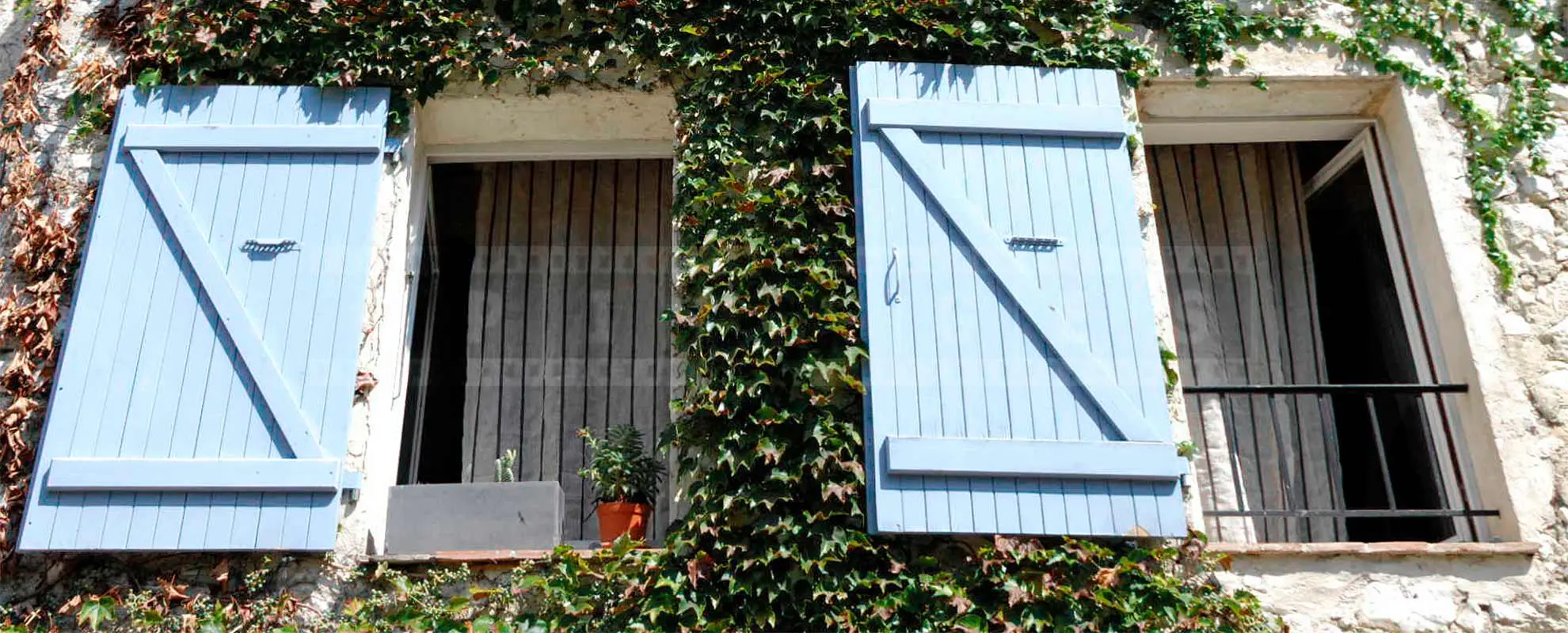 French style windows with blue shutters and green vine