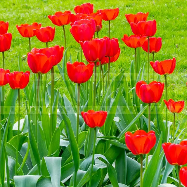 FPImages scenic photo galleries