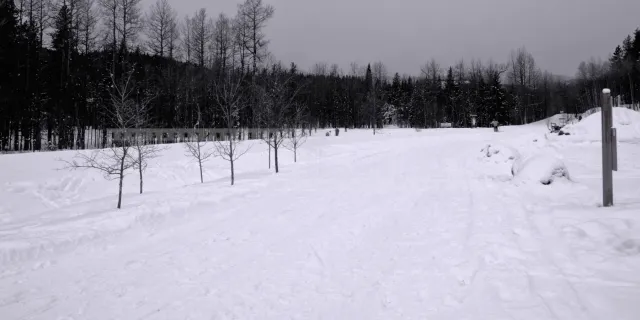 snow covered multi-use trail at Bragg Creek, Alberta