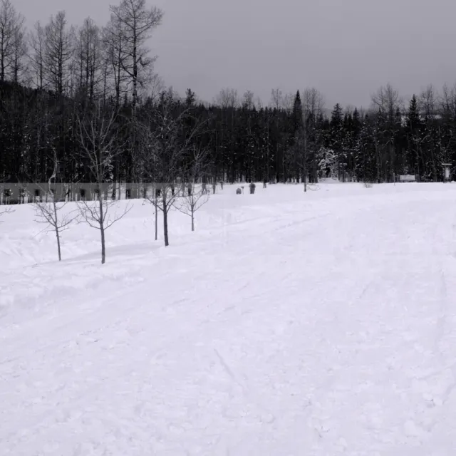 snow covered multi-use trail at Bragg Creek, Alberta
