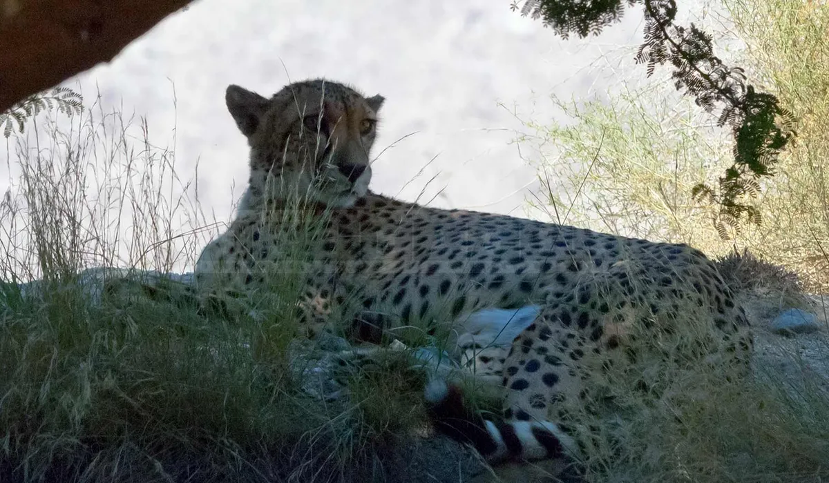 FPImages scenic photo galleries