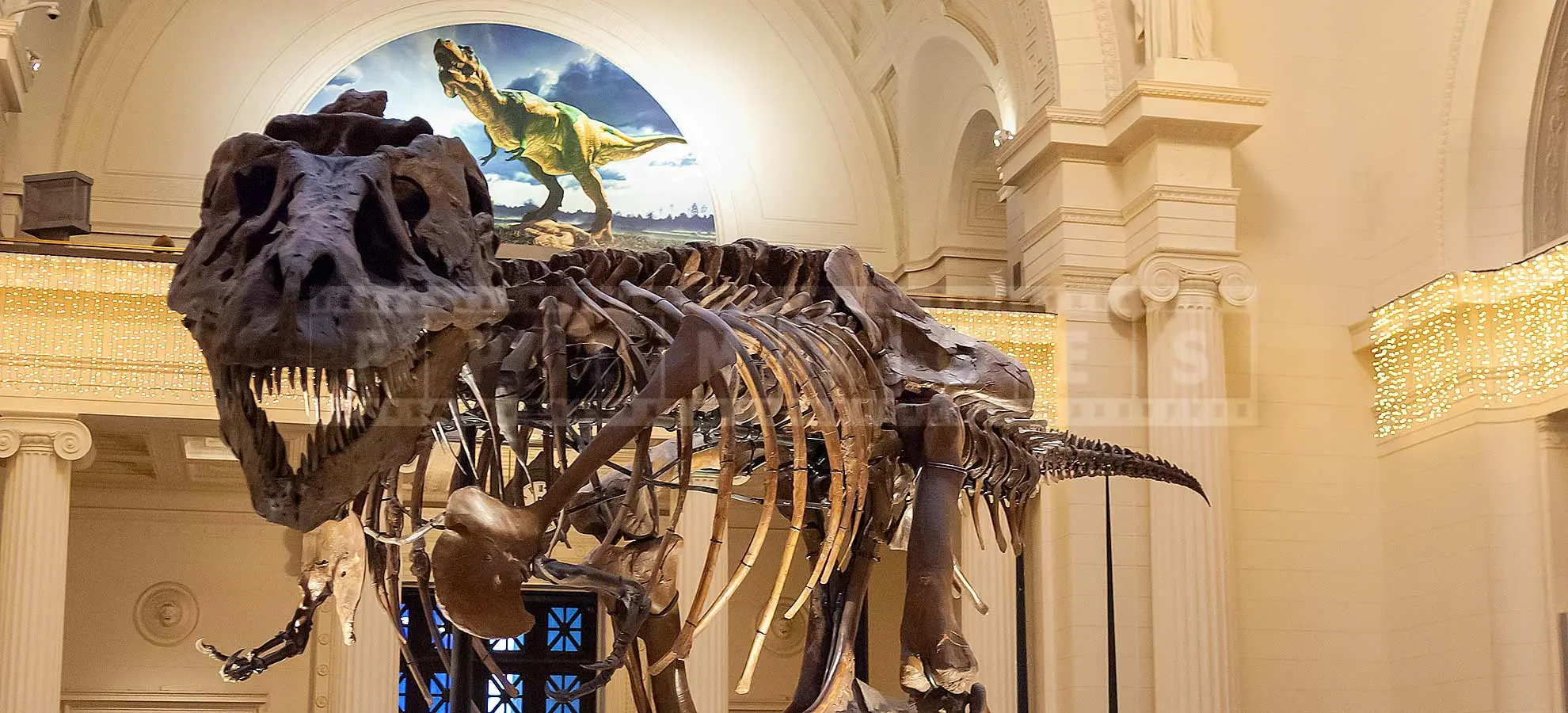 T-Rex Sue skeleton in Chicago Field Museum