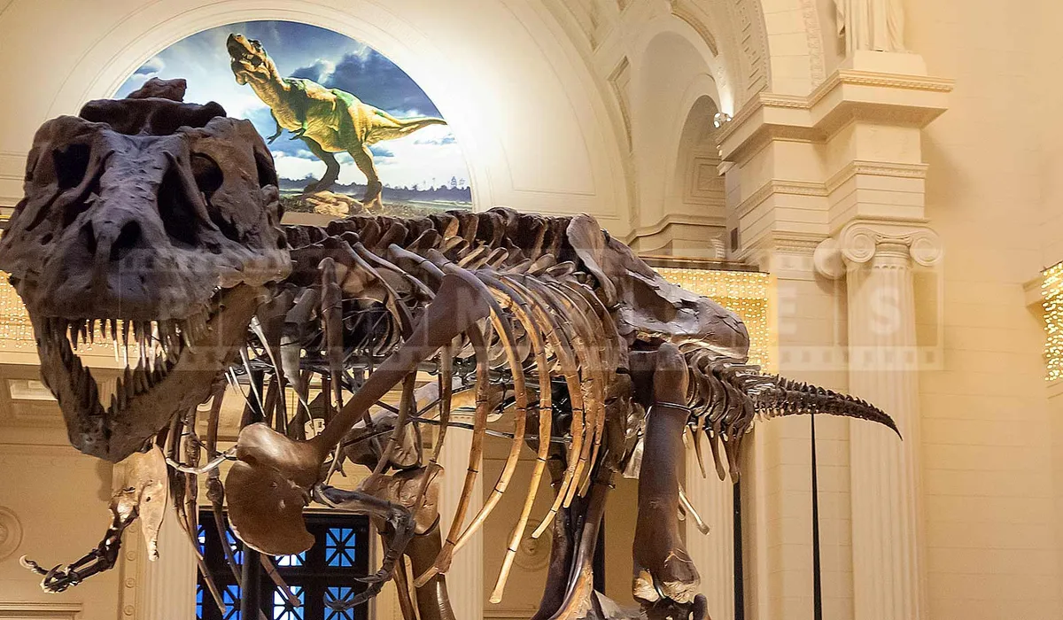 FPImages scenic photo galleries