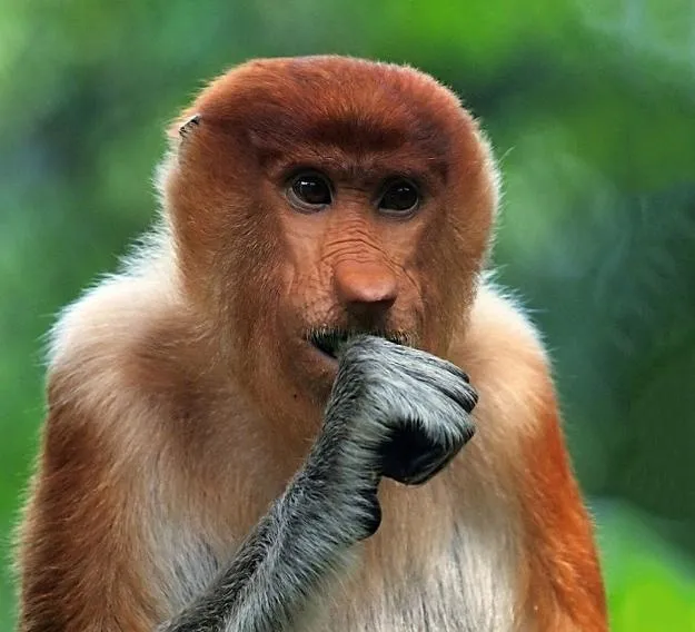 FPImages scenic photo galleries