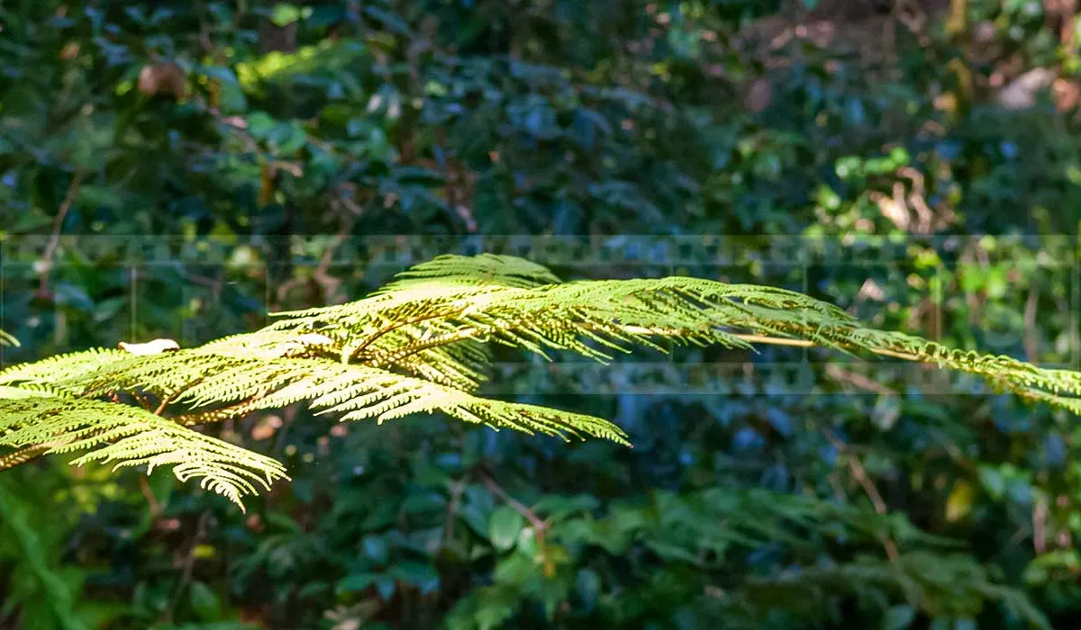 FPImages scenic photo galleries