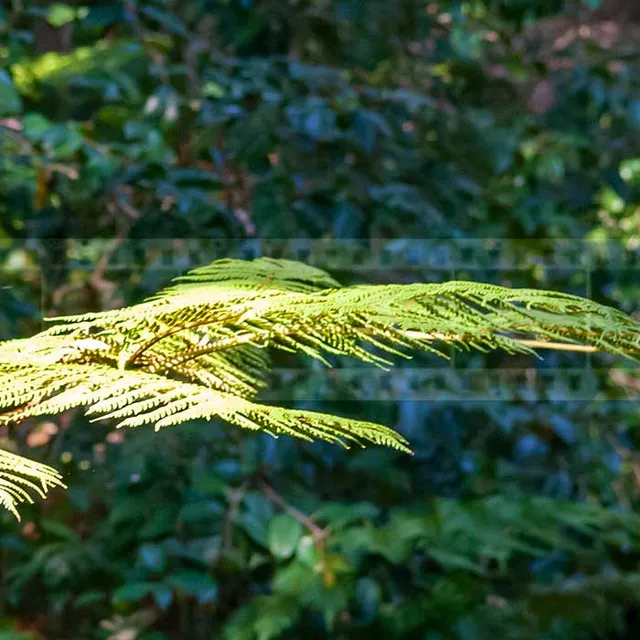 FPImages scenic photo galleries