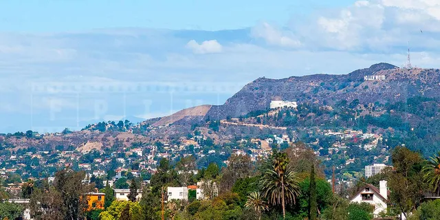 View from Elysian park at Hollywood Hills