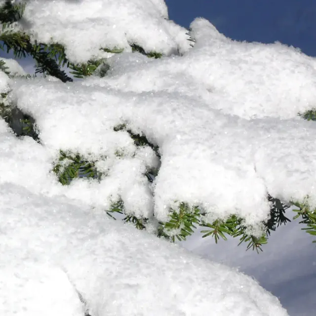 FPImages scenic photo galleries