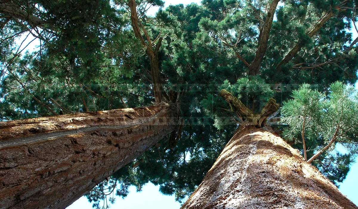 FPImages scenic photo galleries