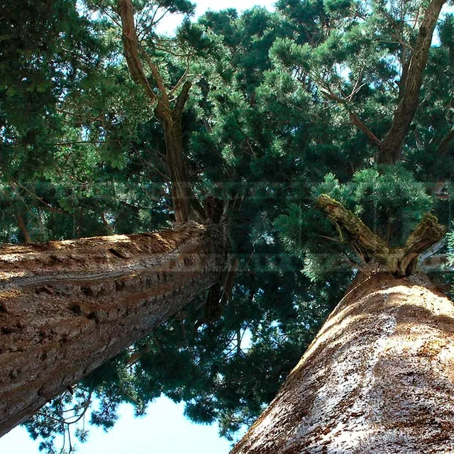 FPImages scenic photo galleries