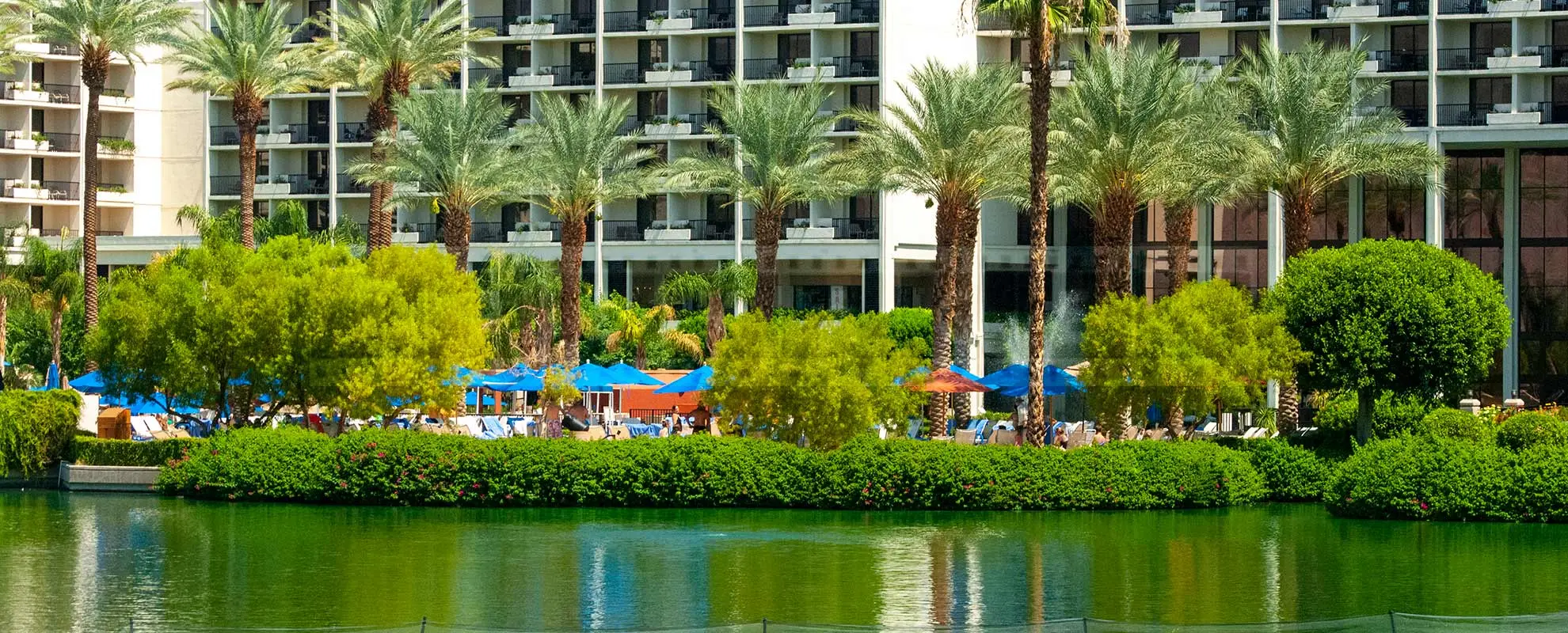 Bright Blue Umbrellas and Tall Palm Trees, beautiful grounds at JW Marriott
