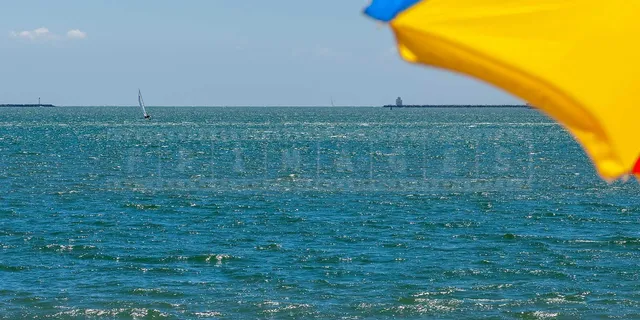 sailing boat in long beach harbour as seen from Bixby Park
