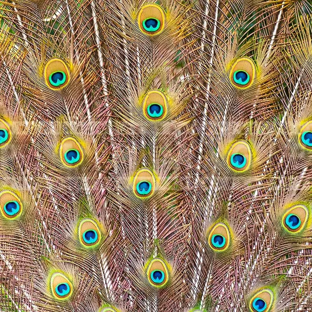 FPImages scenic photo galleries