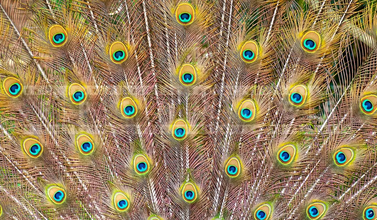 FPImages scenic photo galleries