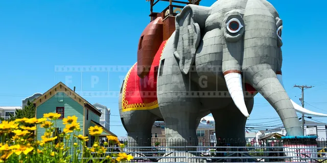 amazing elephant like building near Atlantic City NJ