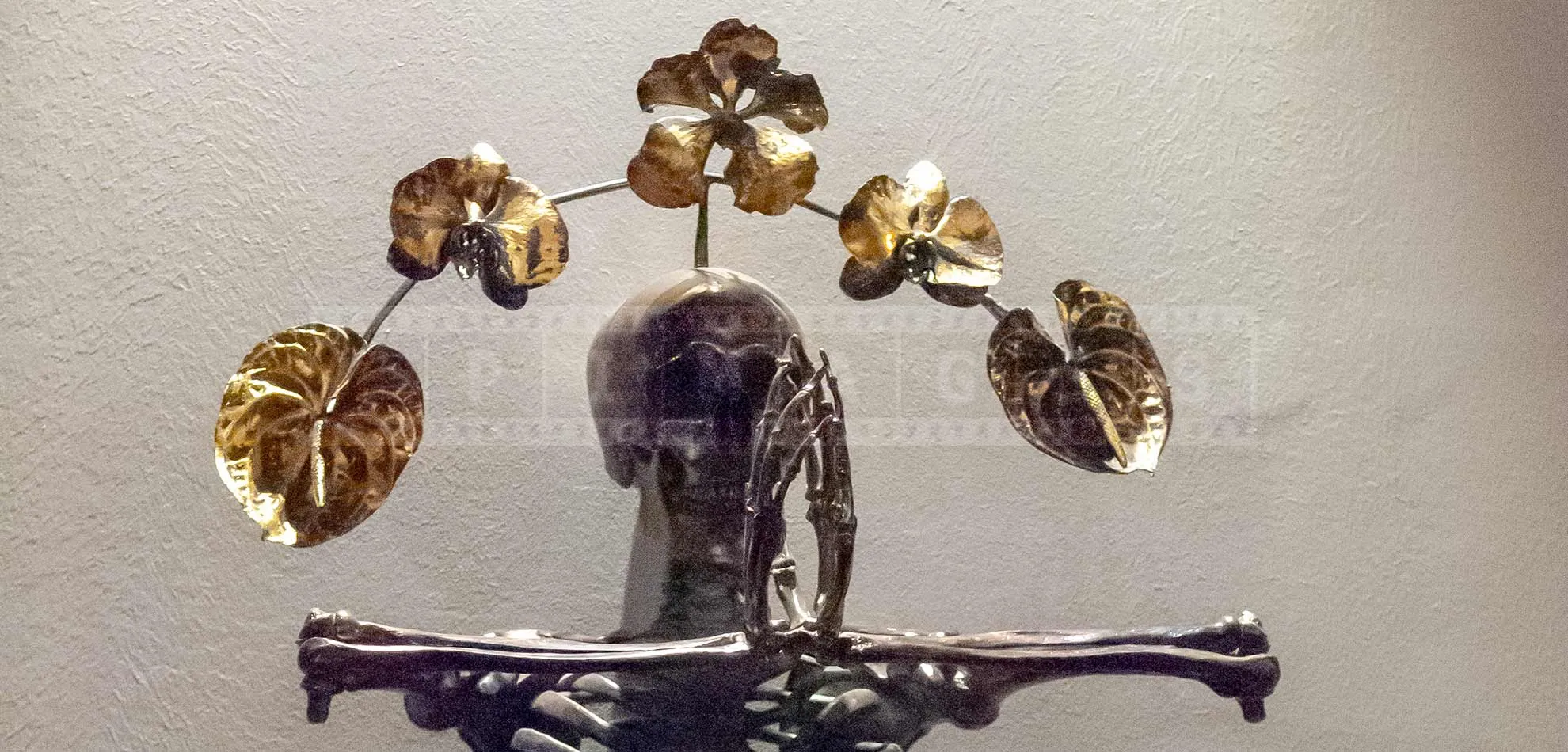 FPImages scenic photo galleries