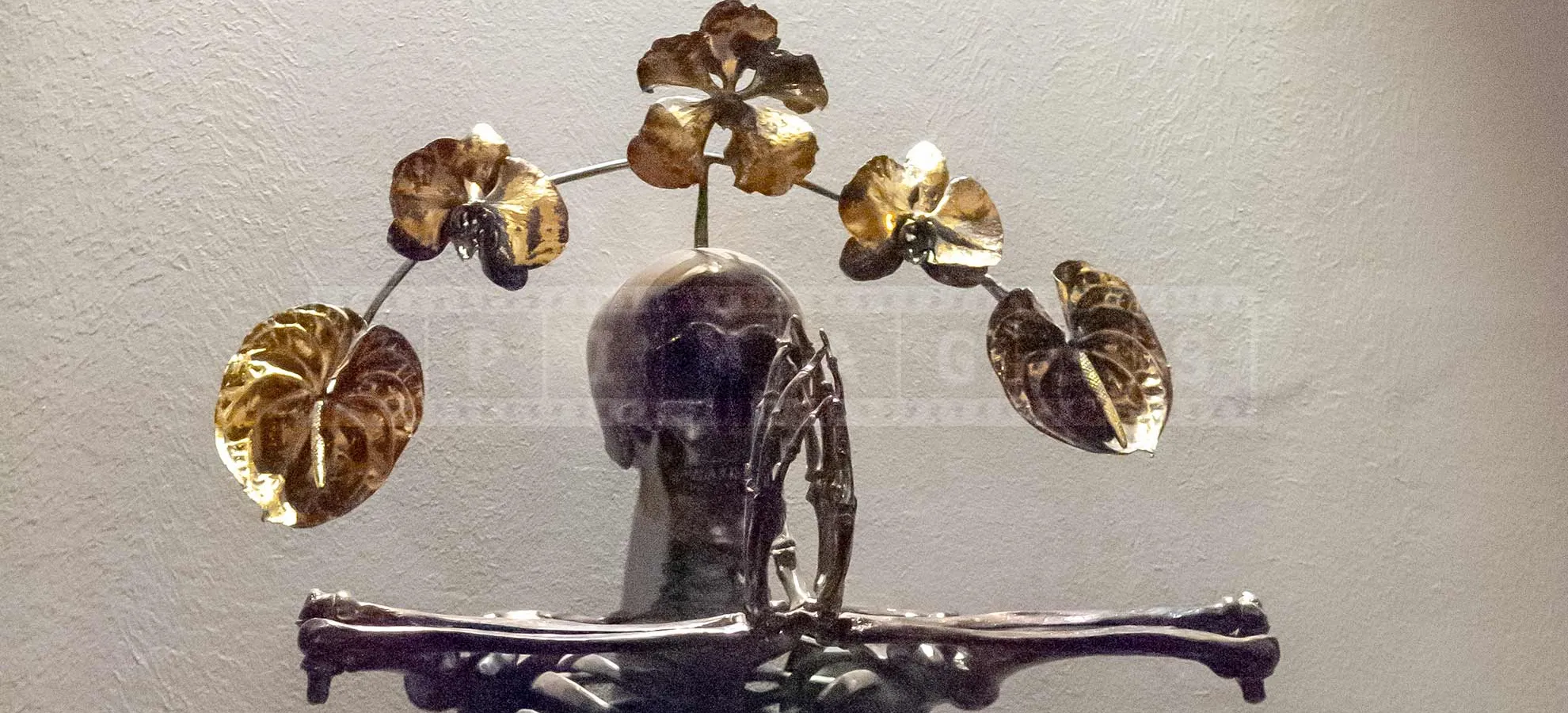 FPImages scenic photo galleries