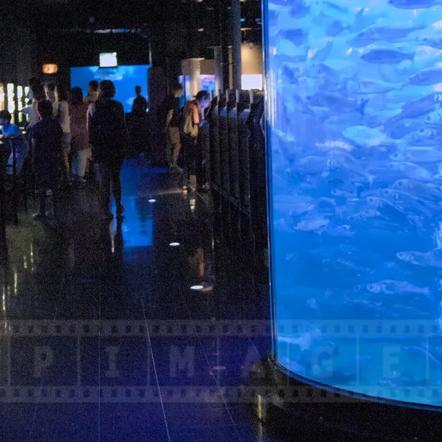 FPImages scenic photo galleries