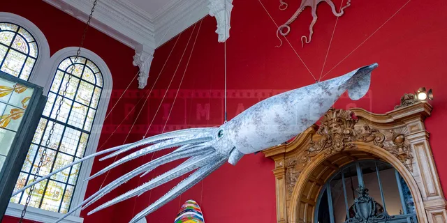 Giant squid model hanging from the ceiling at the museum
