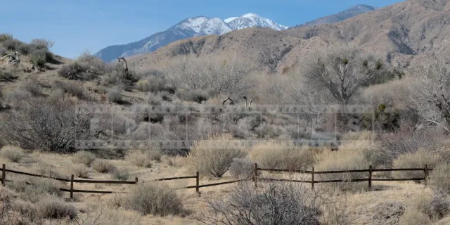 High desert landscape and snow covered mountains at Morongo Preserve