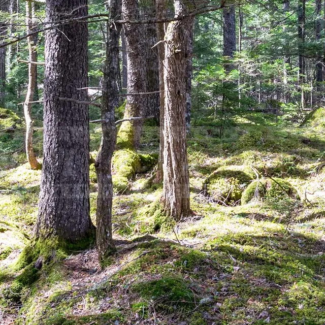 FPImages scenic photo galleries