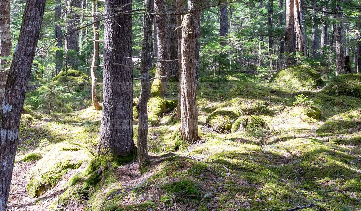 FPImages scenic photo galleries