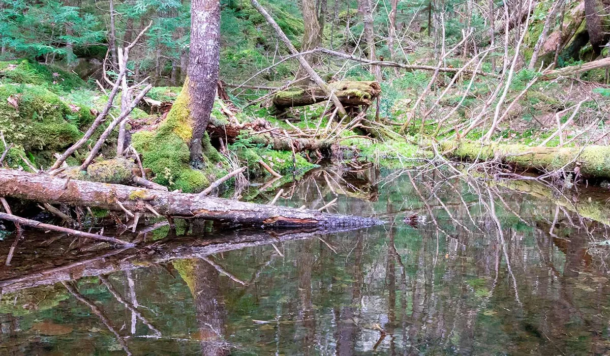 FPImages scenic photo galleries