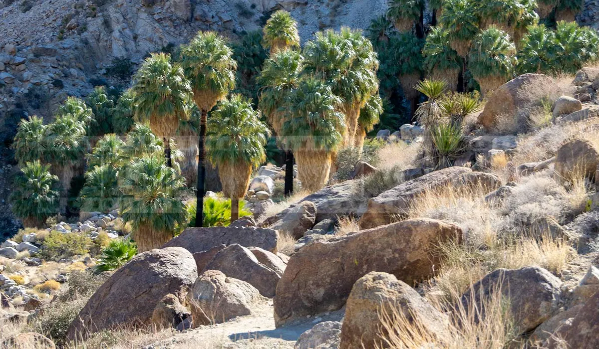 FPImages scenic photo galleries