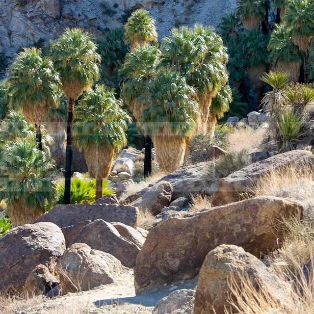 FPImages scenic photo galleries