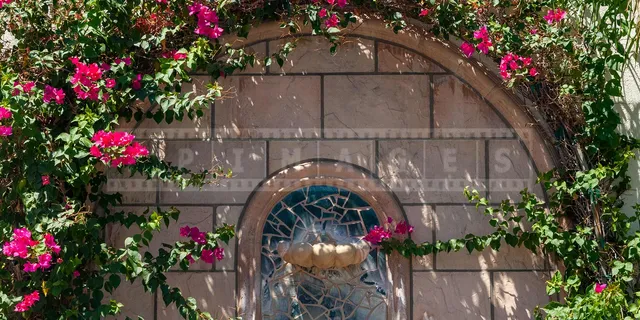 flowering bougainvillea and fountain in Palm Springs