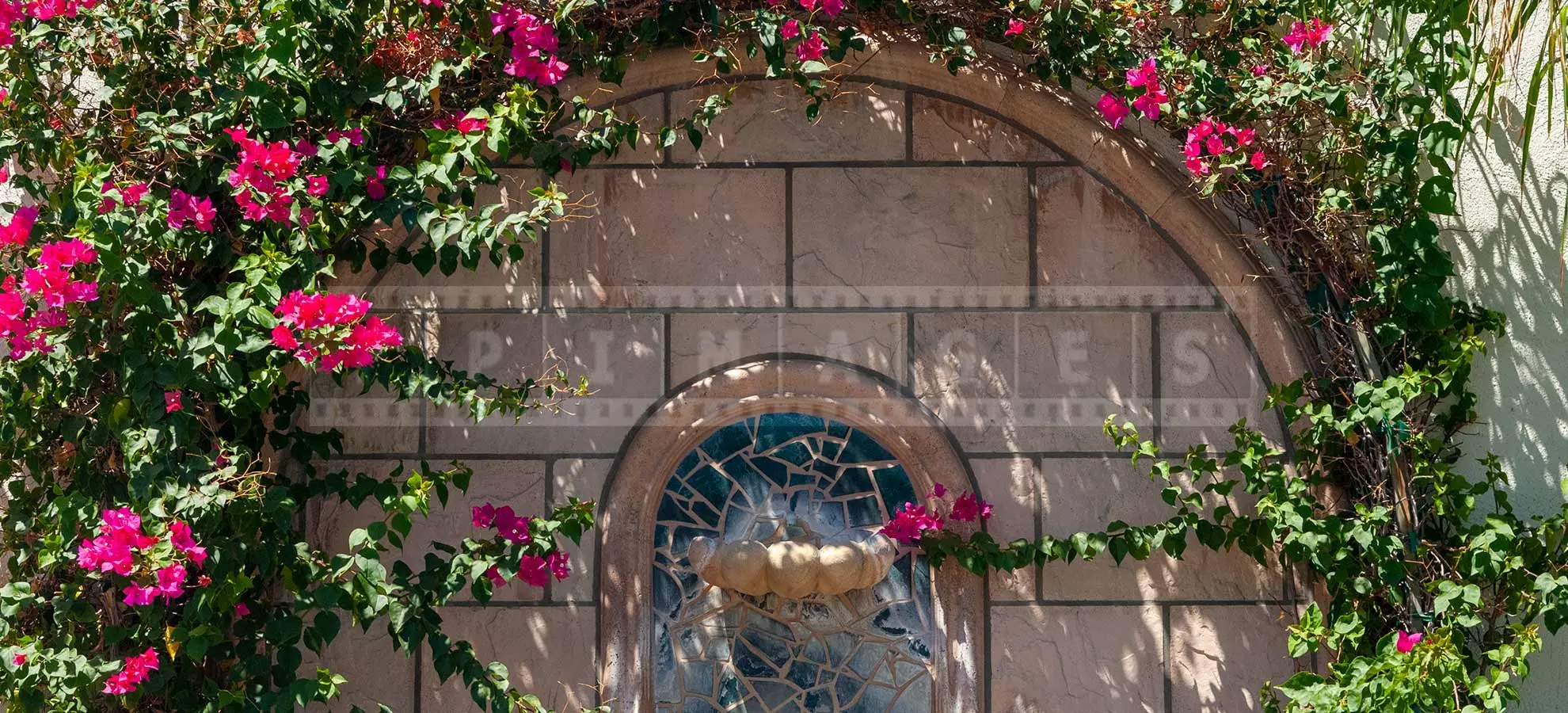 flowering bougainvillea and fountain in Palm Springs