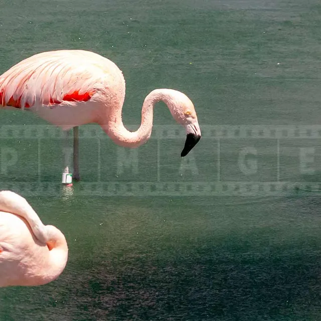 FPImages scenic photo galleries