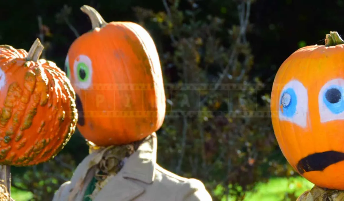 FPImages scenic photo galleries