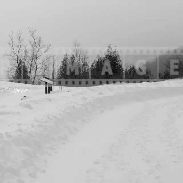 Winter walk in the Quebec City Plains of Abraham urban park